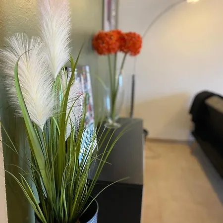 Vue Apartment