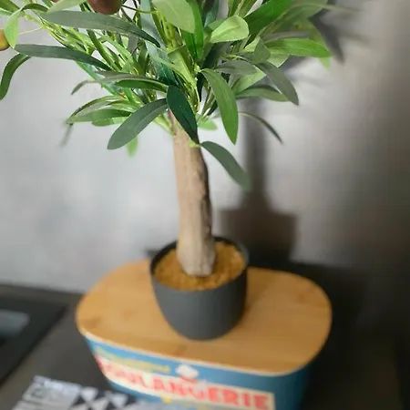 アパート Vue サン・フロラン