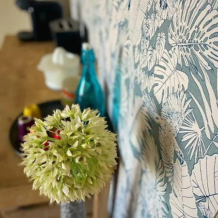 Vue アパート サン・フロラン